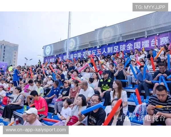 中国足球大型赛事的城市承办效益与当地经济带动，中国打造足球城