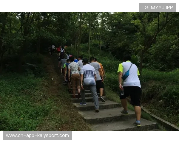 世界登山救援联合演练：跨区域协作提升应急效率，2021登山遇难
